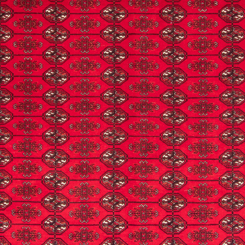 Alfombra afgana - Bukhara - 282 x 200 cm - rojo