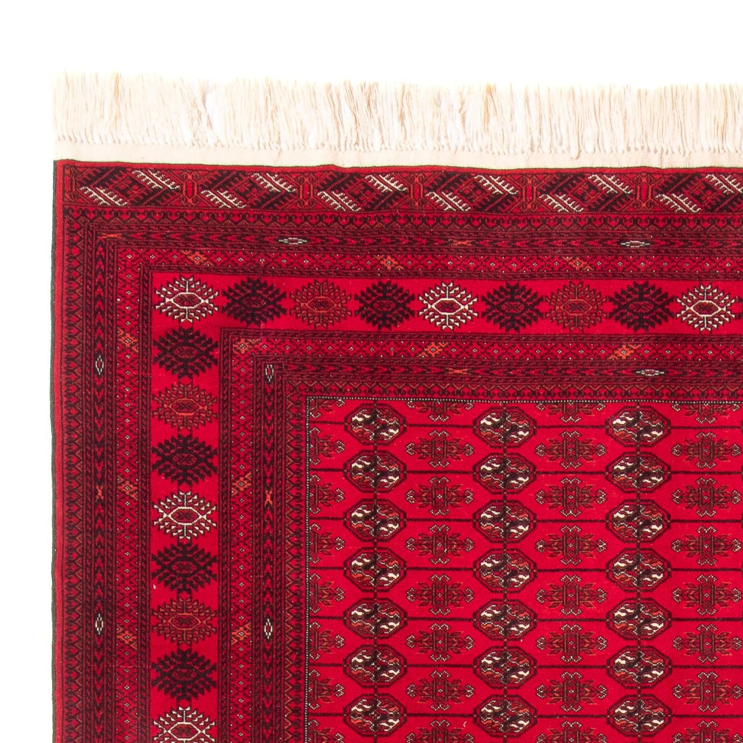 Alfombra afgana - Bukhara - 282 x 200 cm - rojo