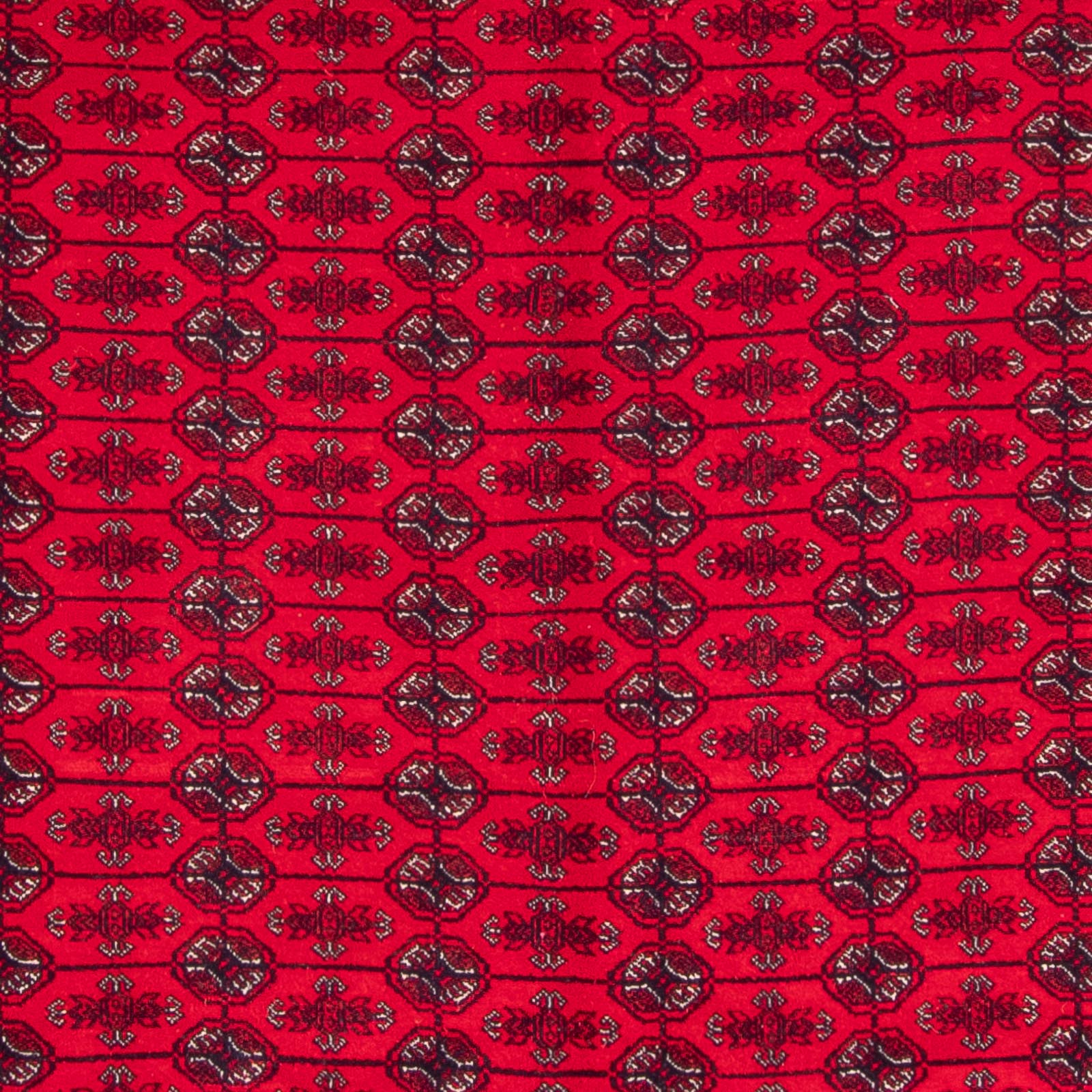 Alfombra afgana - Bukhara - 292 x 200 cm - rojo