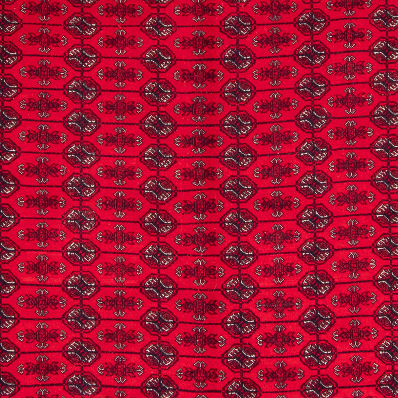 Alfombra afgana - Bukhara - 292 x 200 cm - rojo
