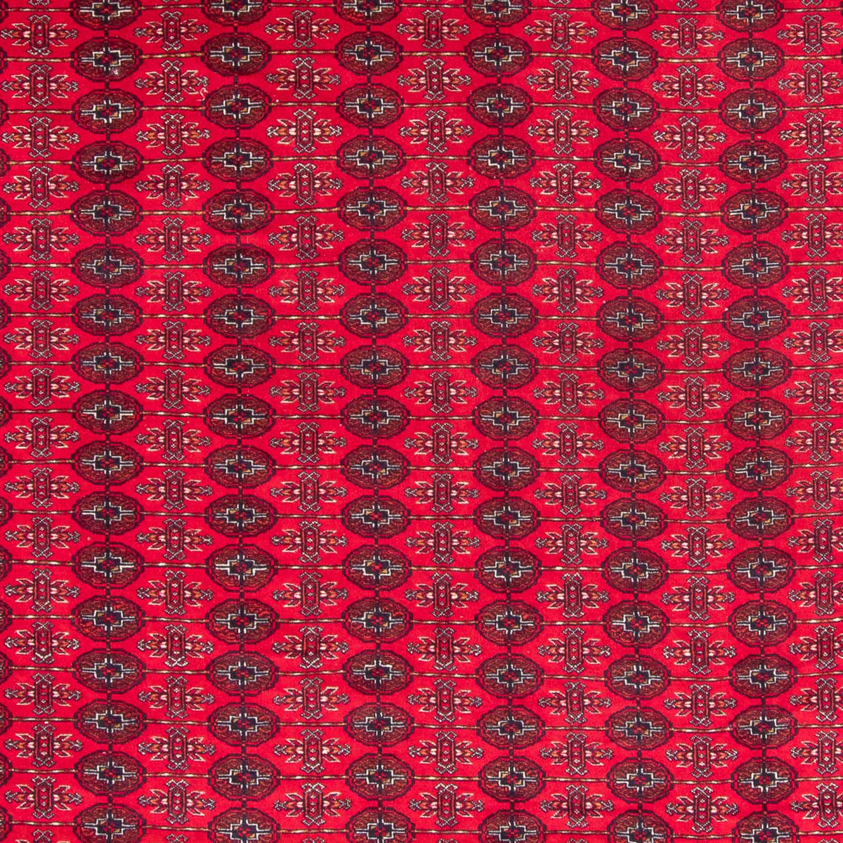 Alfombra afgana - Bukhara - 370 x 300 cm - rojo