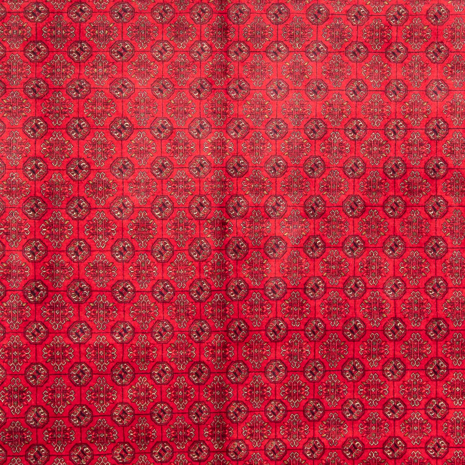 Alfombra afgana - Bukhara - 385 x 300 cm - rojo
