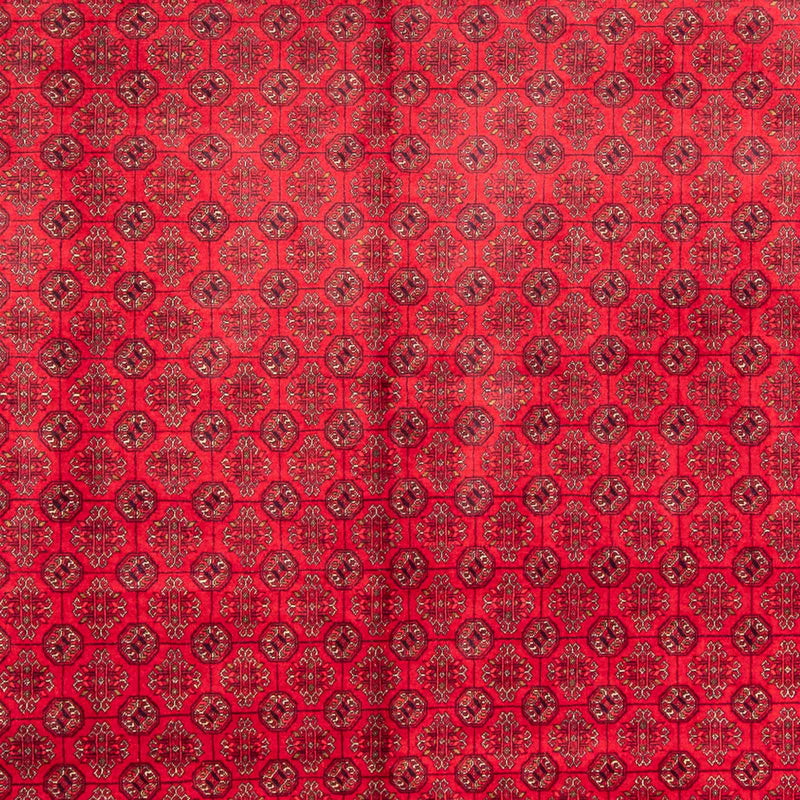 Alfombra afgana - Bukhara - 385 x 300 cm - rojo