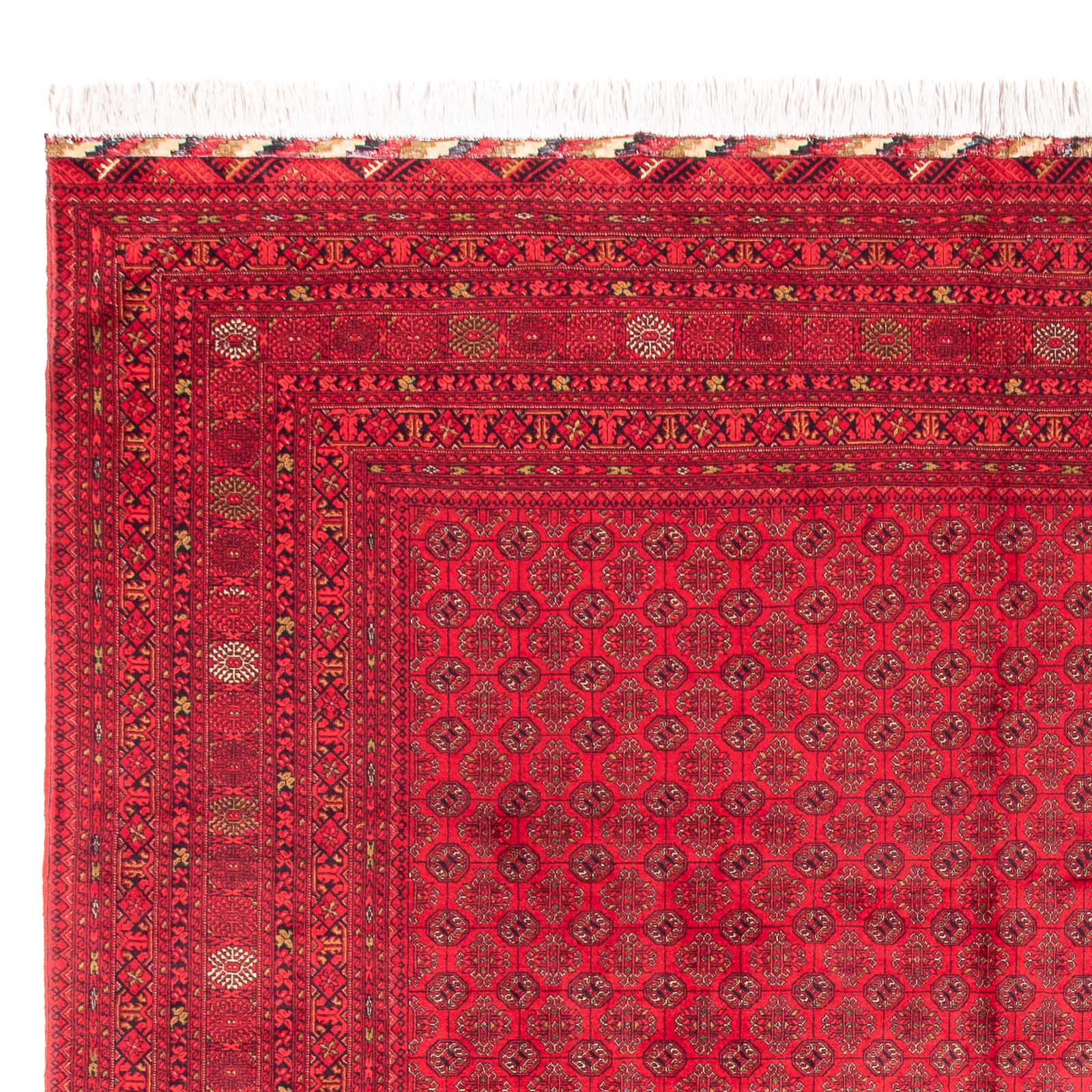 Alfombra afgana - Bukhara - 385 x 300 cm - rojo