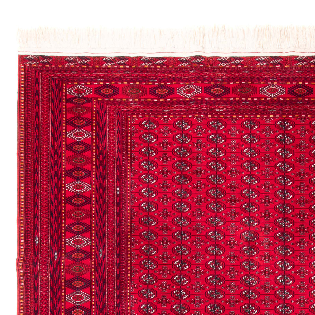 Bukhara Alfombra 310x395cm - Alfombra oriental