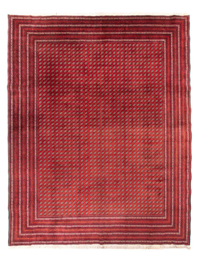 Bukhara Alfombra 300x375cm - Alfombra oriental