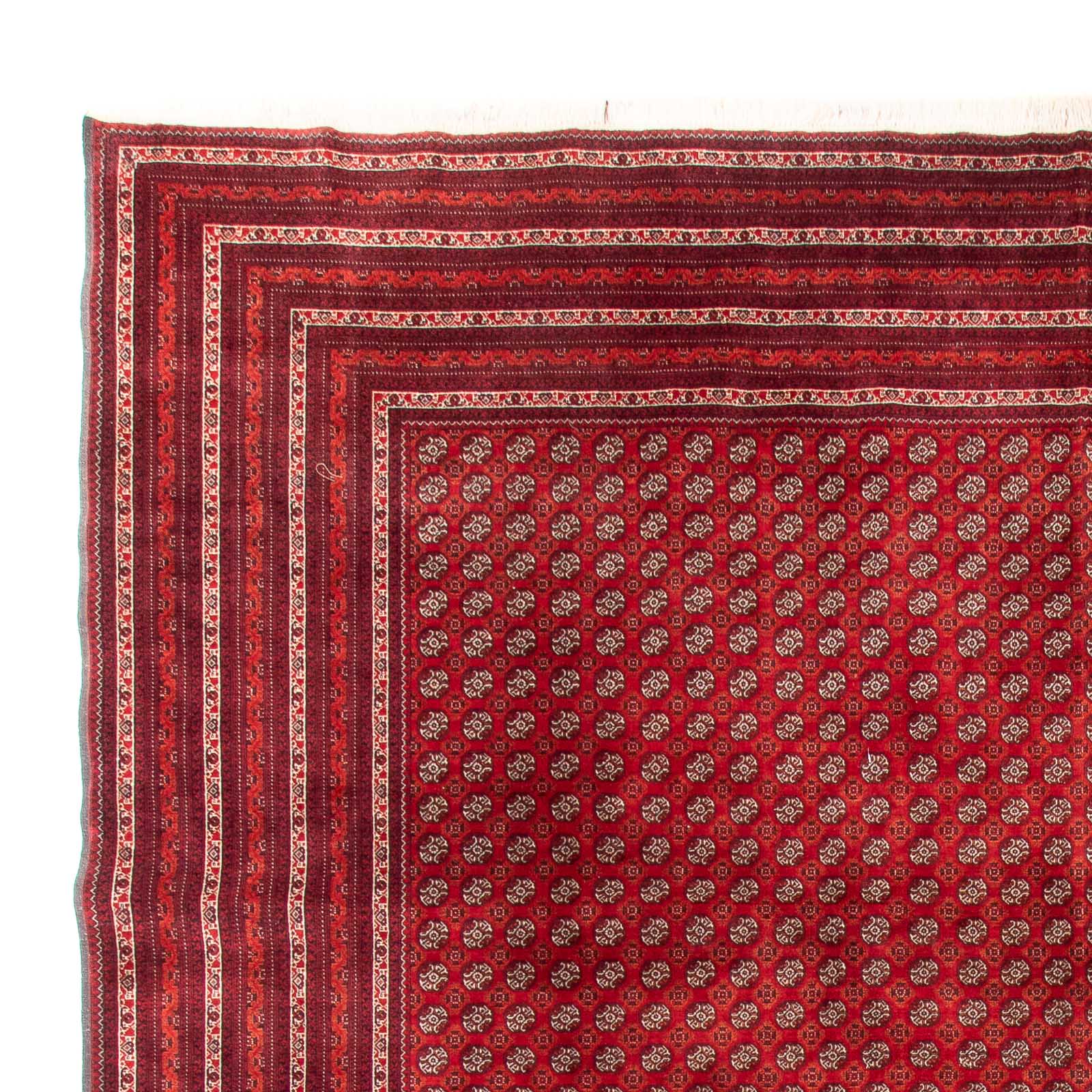 Alfombra afgana - Bukhara - 375 x 300 cm - rojo