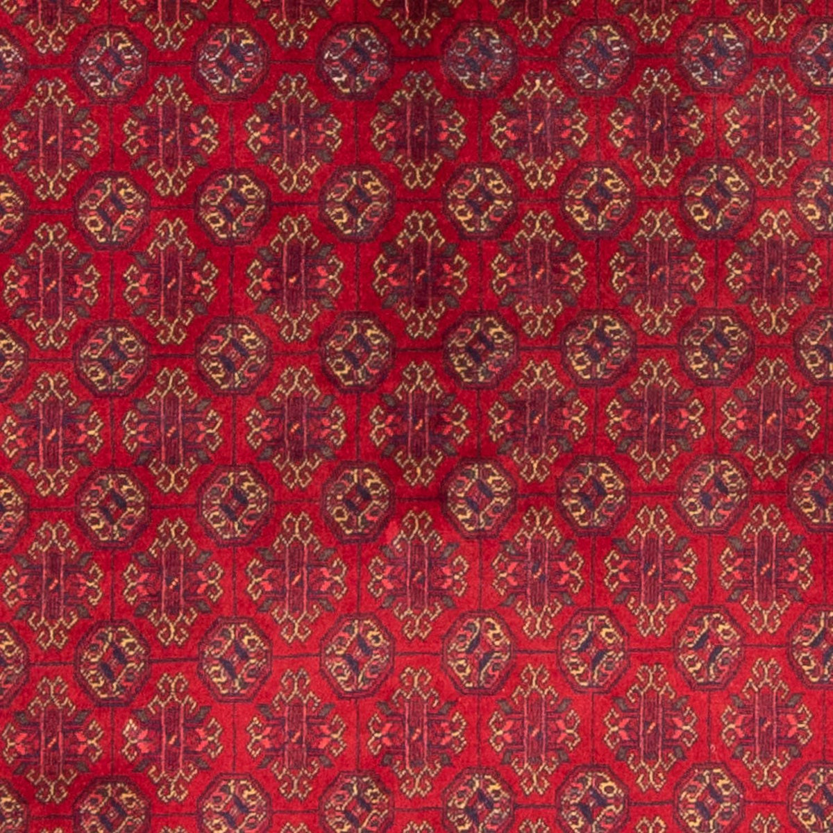 Alfombra afgana - 193 x 148 cm - rojo