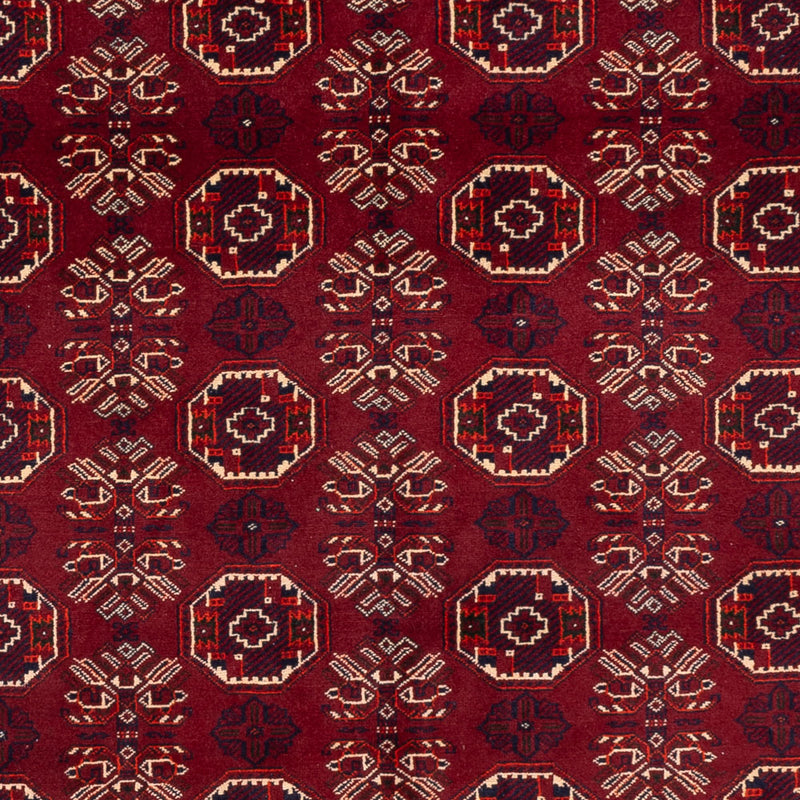 Alfombra afgana - Bukhara - 280 x 188 cm - rojo oscuro