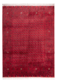 Alfombra afgana - 343 x 248 cm - rojo