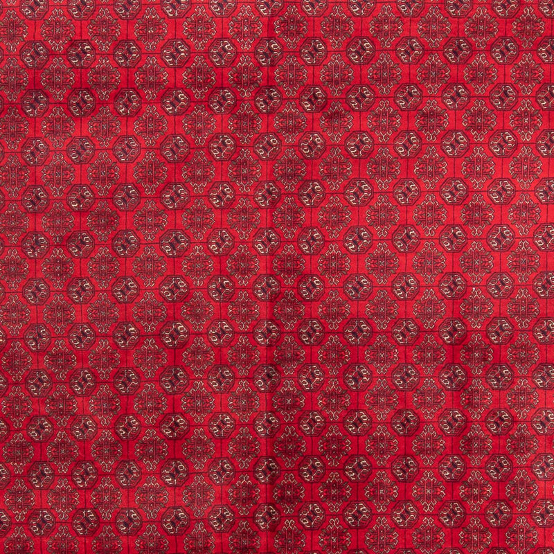 Alfombra afgana - 343 x 248 cm - rojo