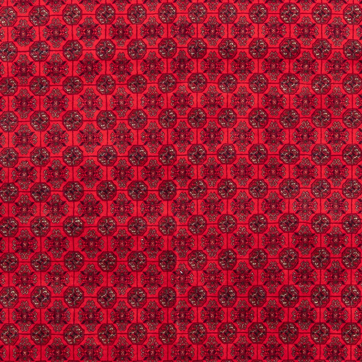Alfombra afgana - 295 x 194 cm - rojo