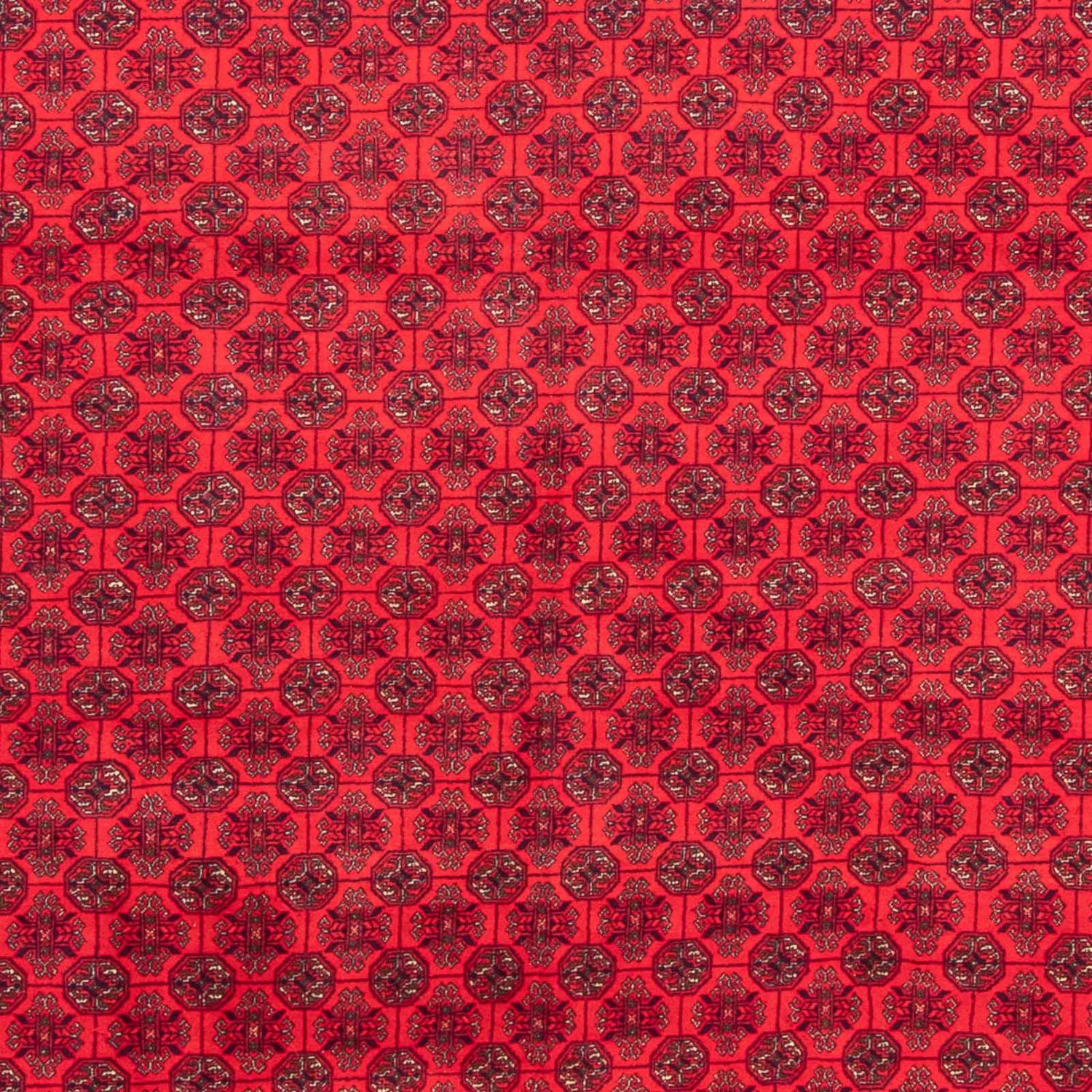 Alfombra afgana - 289 x 200 cm - rojo