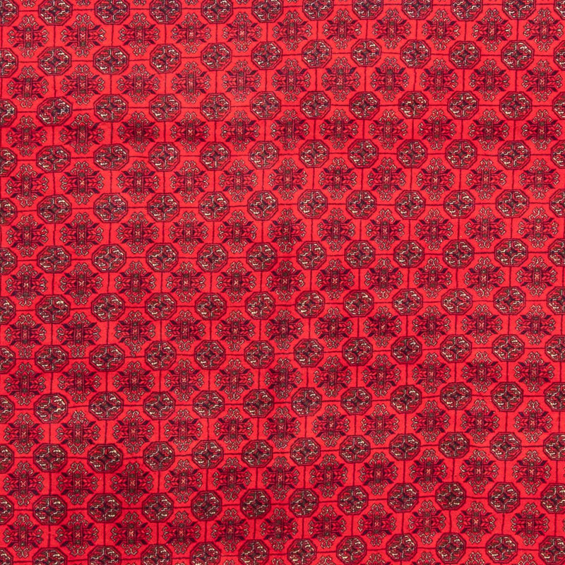 Alfombra afgana - 289 x 200 cm - rojo