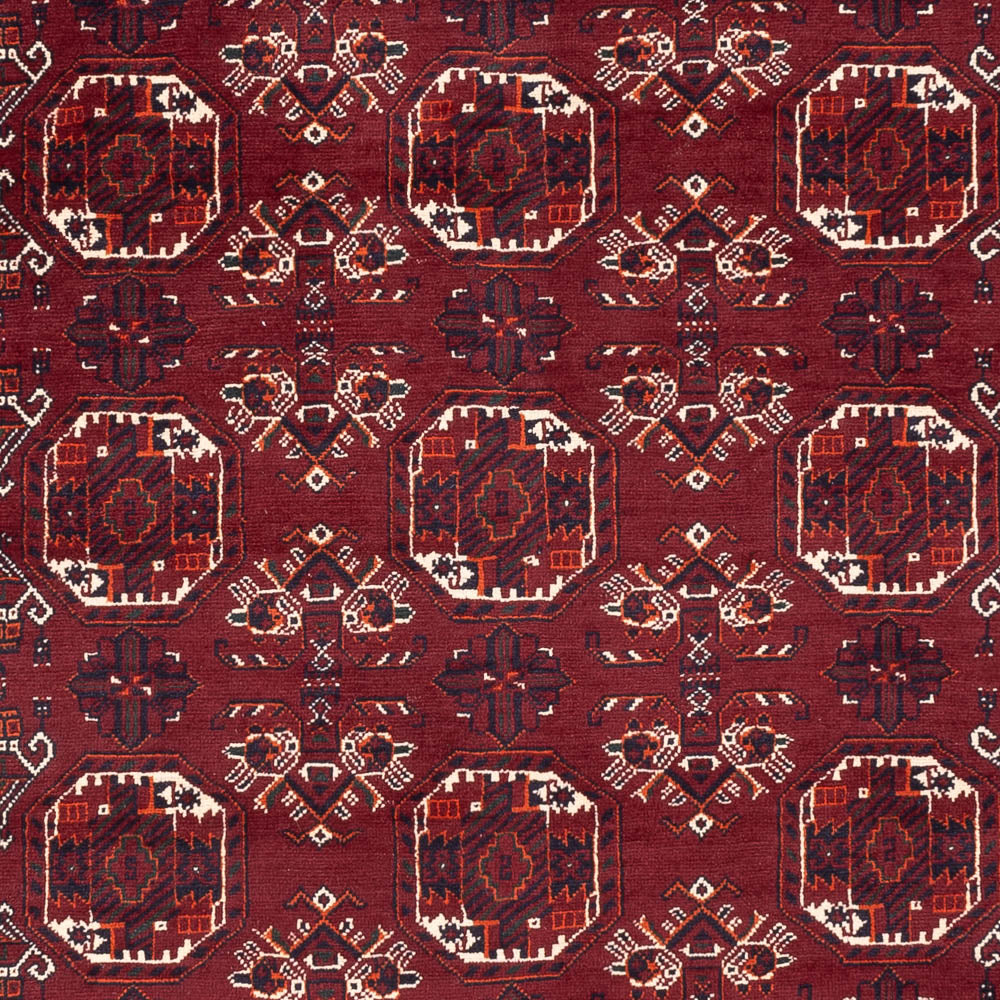 Alfombra afgana - Bukhara - 290 x 201 cm - rojo oscuro