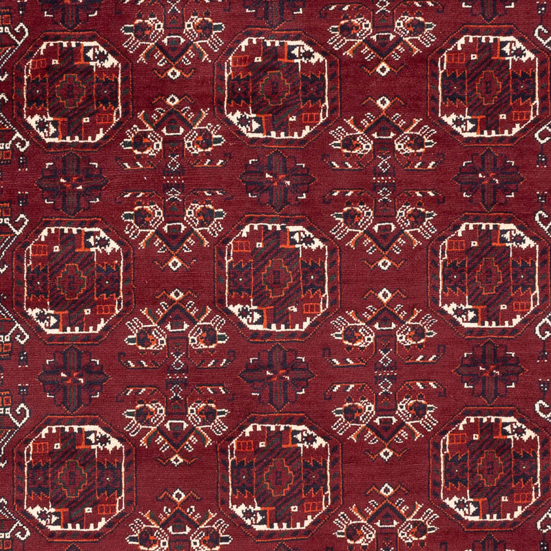 Alfombra afgana - Bukhara - 290 x 201 cm - rojo oscuro