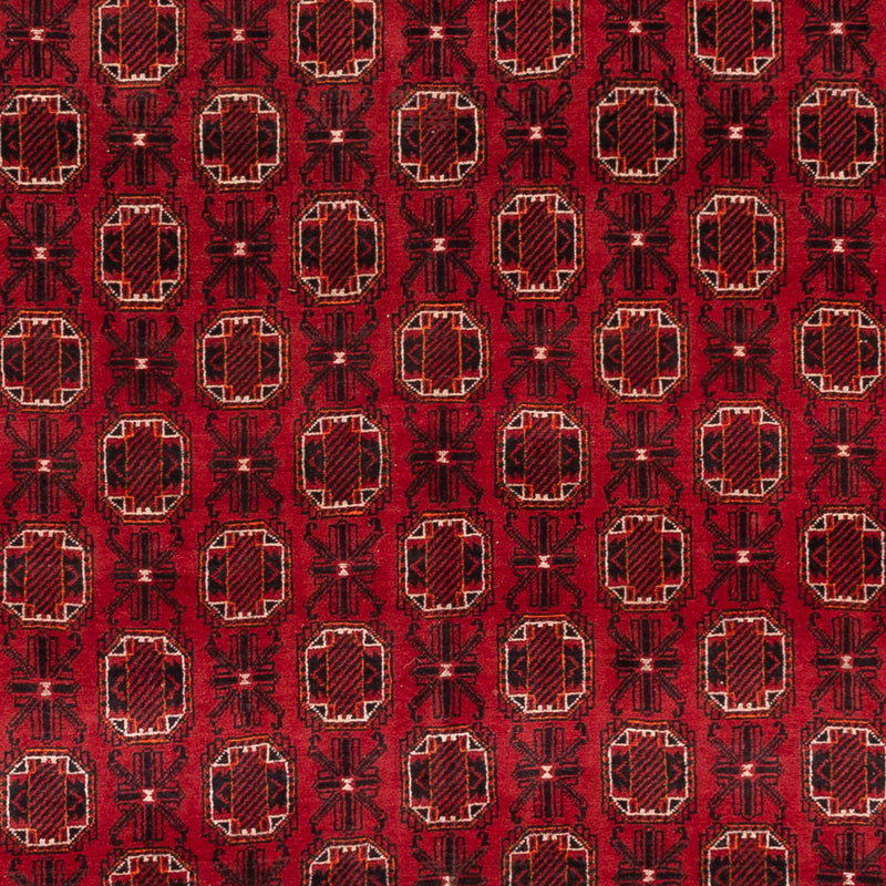 Alfombra afgana - Bukhara - 274 x 198 cm - rojo