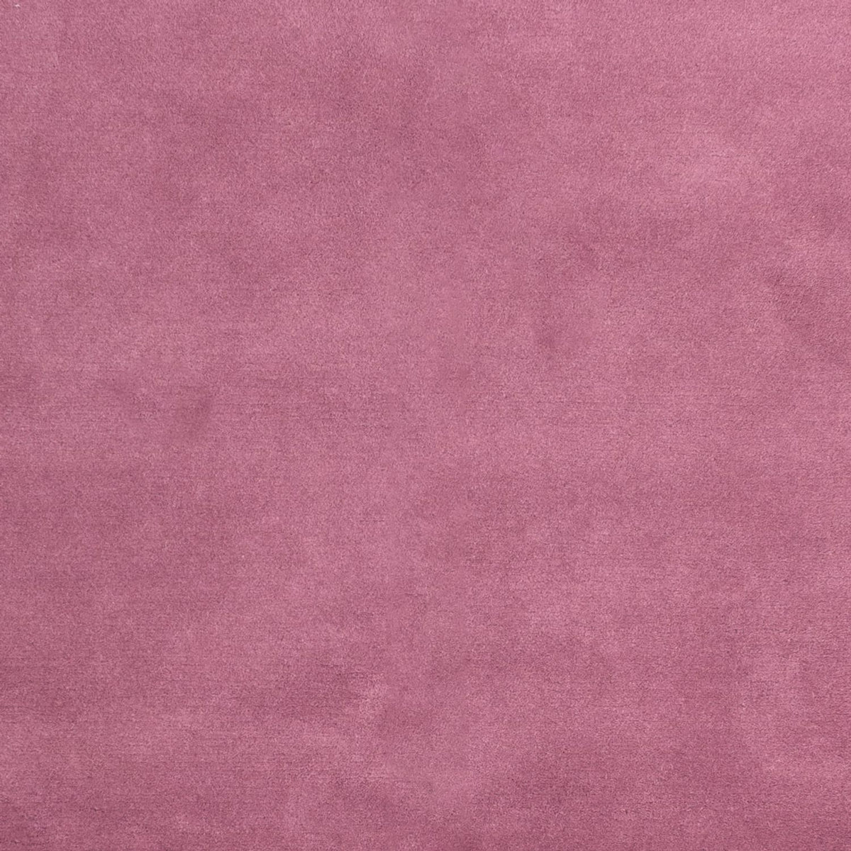 Alfombra de Nepal - 180 x 120 cm - fucsia