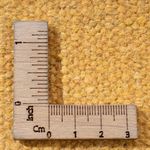 Alfombra Kelim - Tendencia - 200 x 140 cm - multicolor