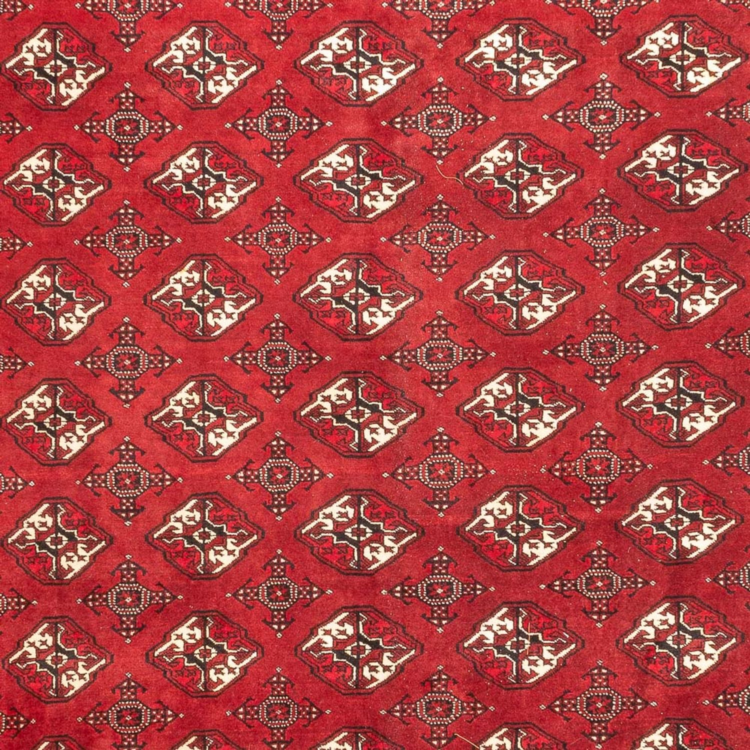 Alfombra Turkaman - 391 x 270 cm - rojo