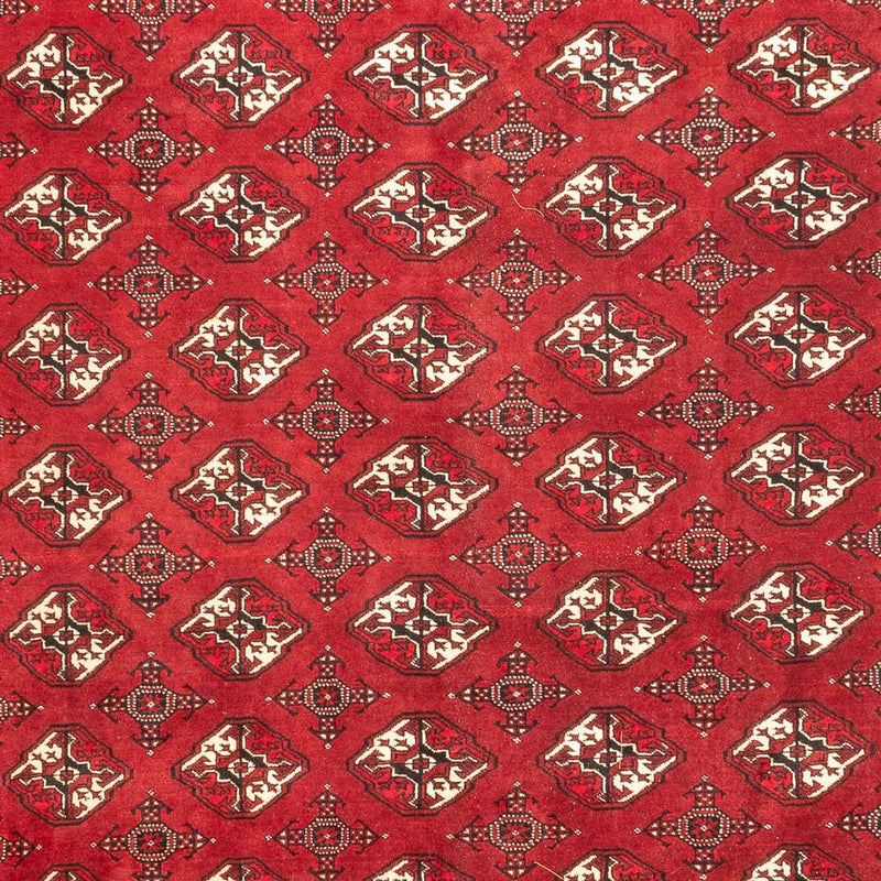 Alfombra Turkaman - 391 x 270 cm - rojo