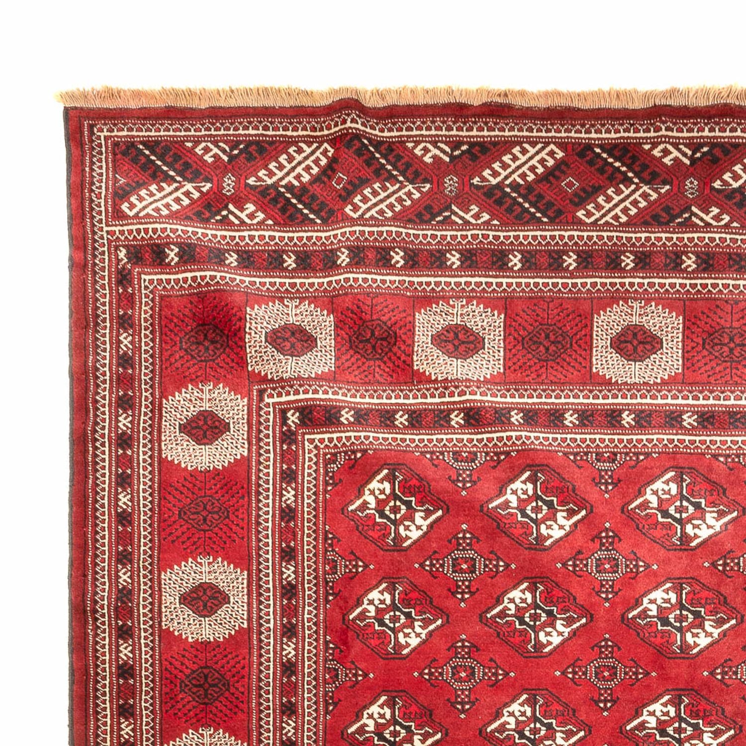 Alfombra Turkaman - 391 x 270 cm - rojo