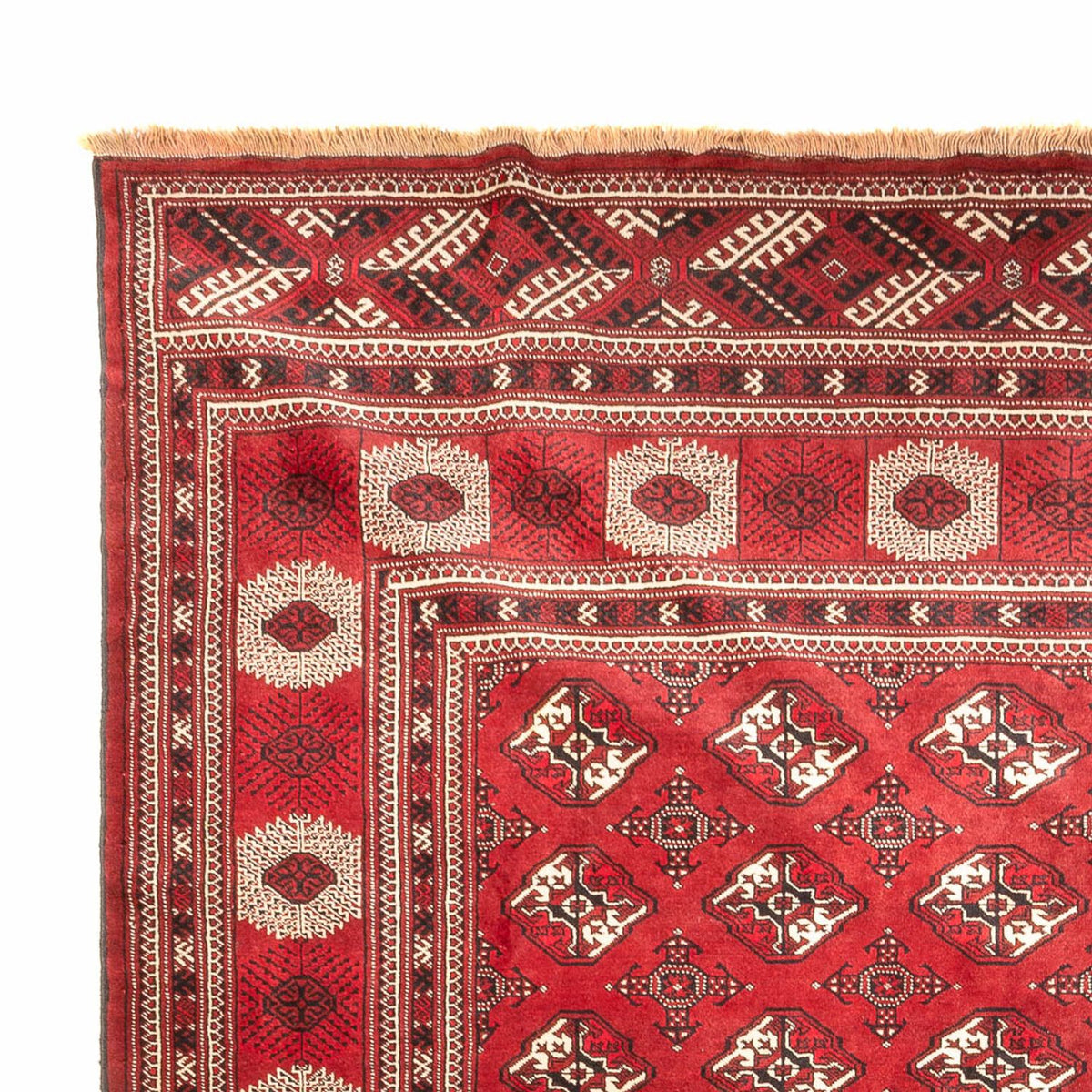 Alfombra Turkaman - 391 x 270 cm - rojo