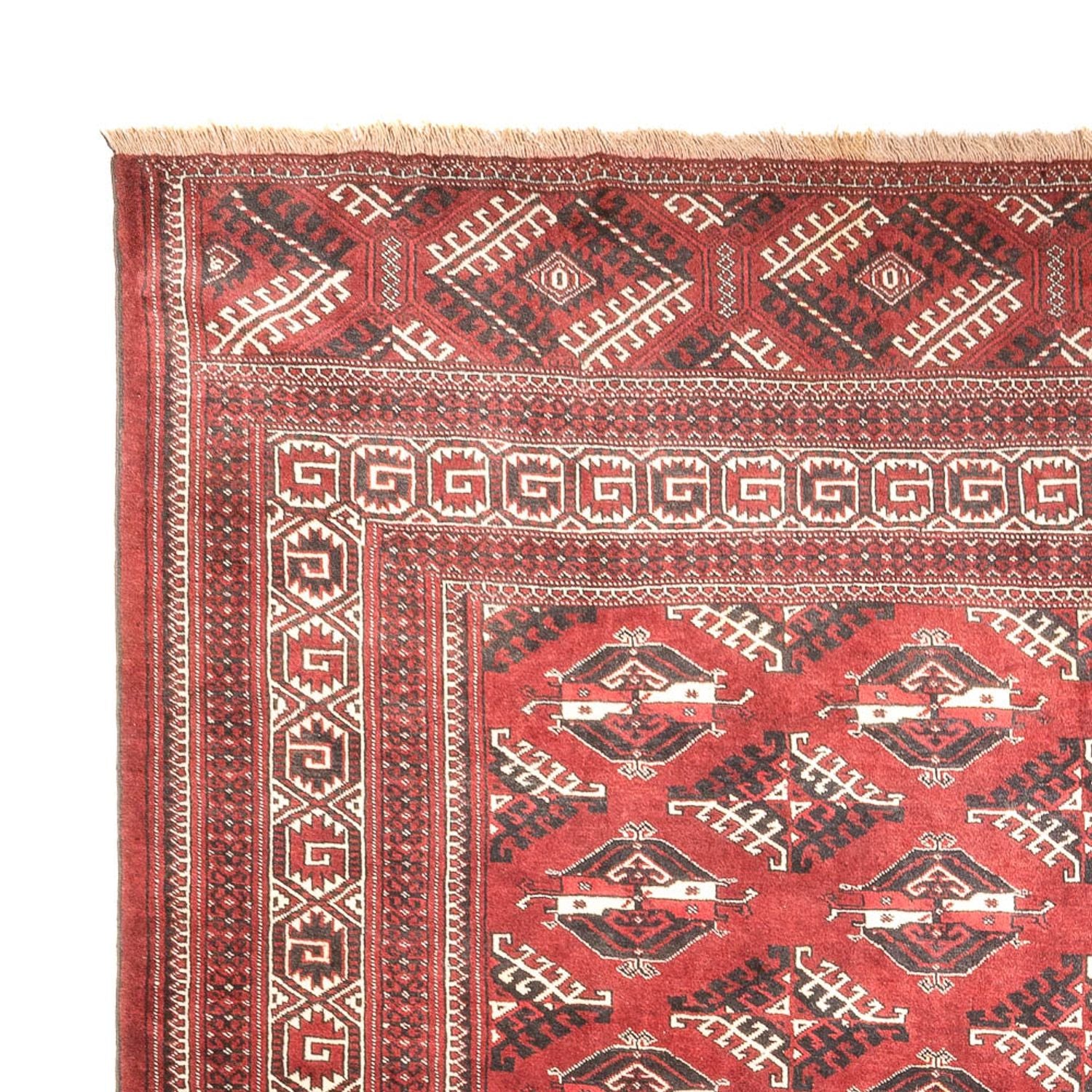 Alfombra Turkaman - 390 x 280 cm - rojo