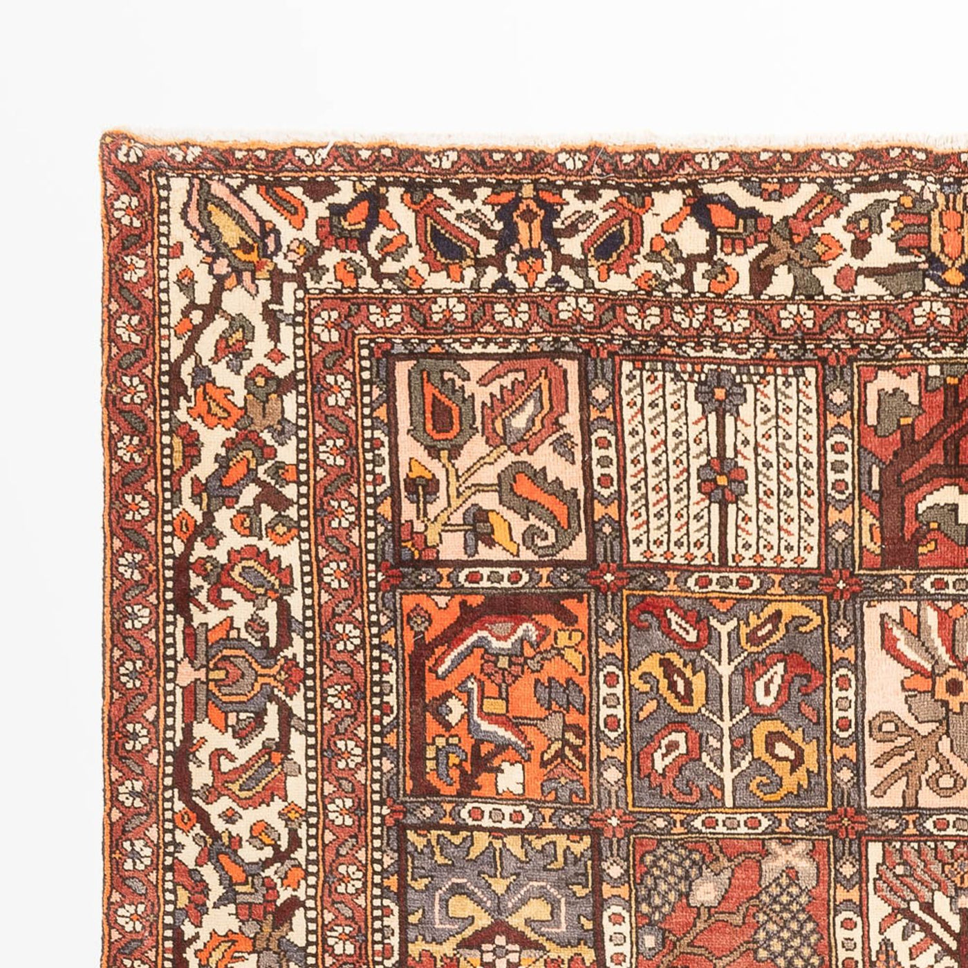 Bakhtiari Alfombra 302x210cm - Alfombra persa