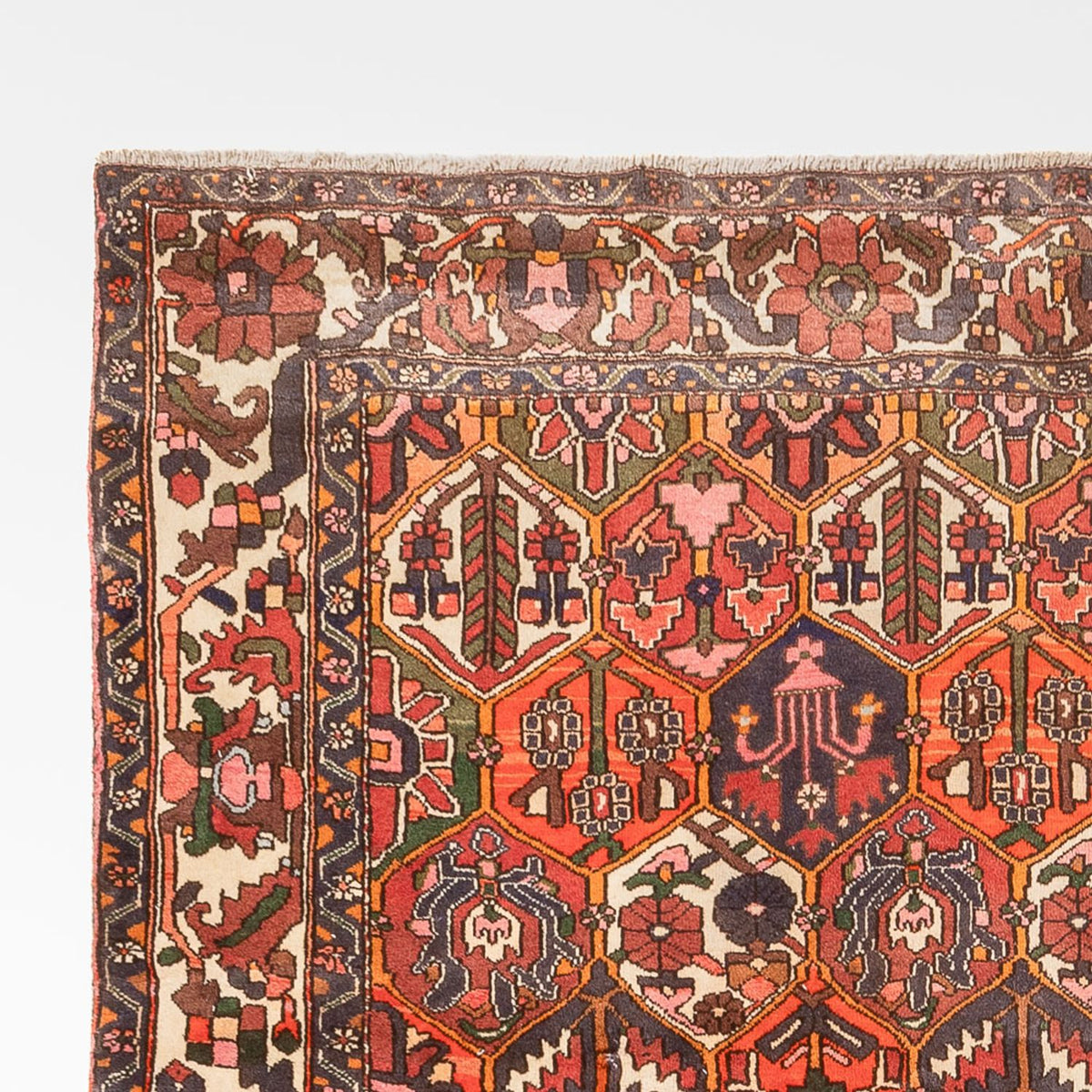 Bakhtiari Alfombra 210x310cm - Alfombra persa