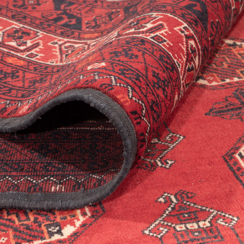 Alfombra afgana - Bukhara - 278 x 191 cm - rojo