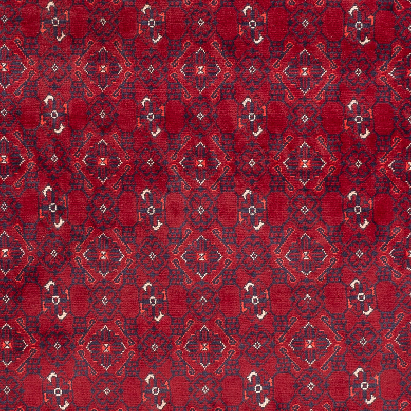 Alfombra afgana - Bukhara - 281 x 193 cm - rojo