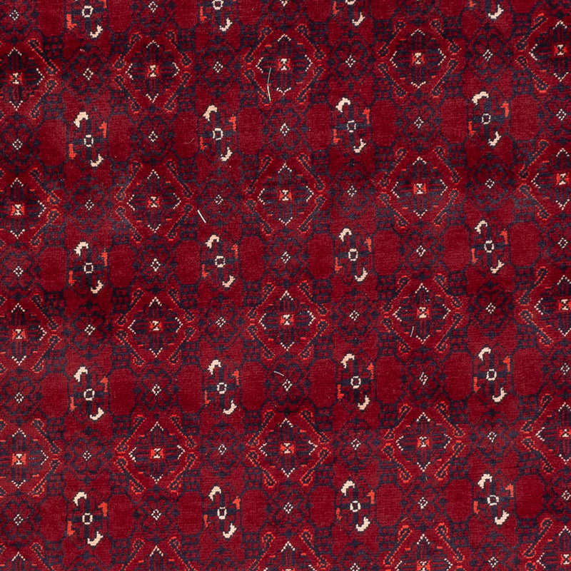 Alfombra afgana - Bukhara - 284 x 195 cm - rojo