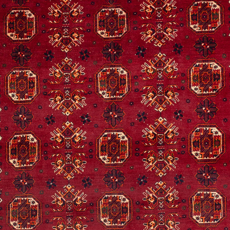 Alfombra afgana - Bukhara - 284 x 194 cm - rojo