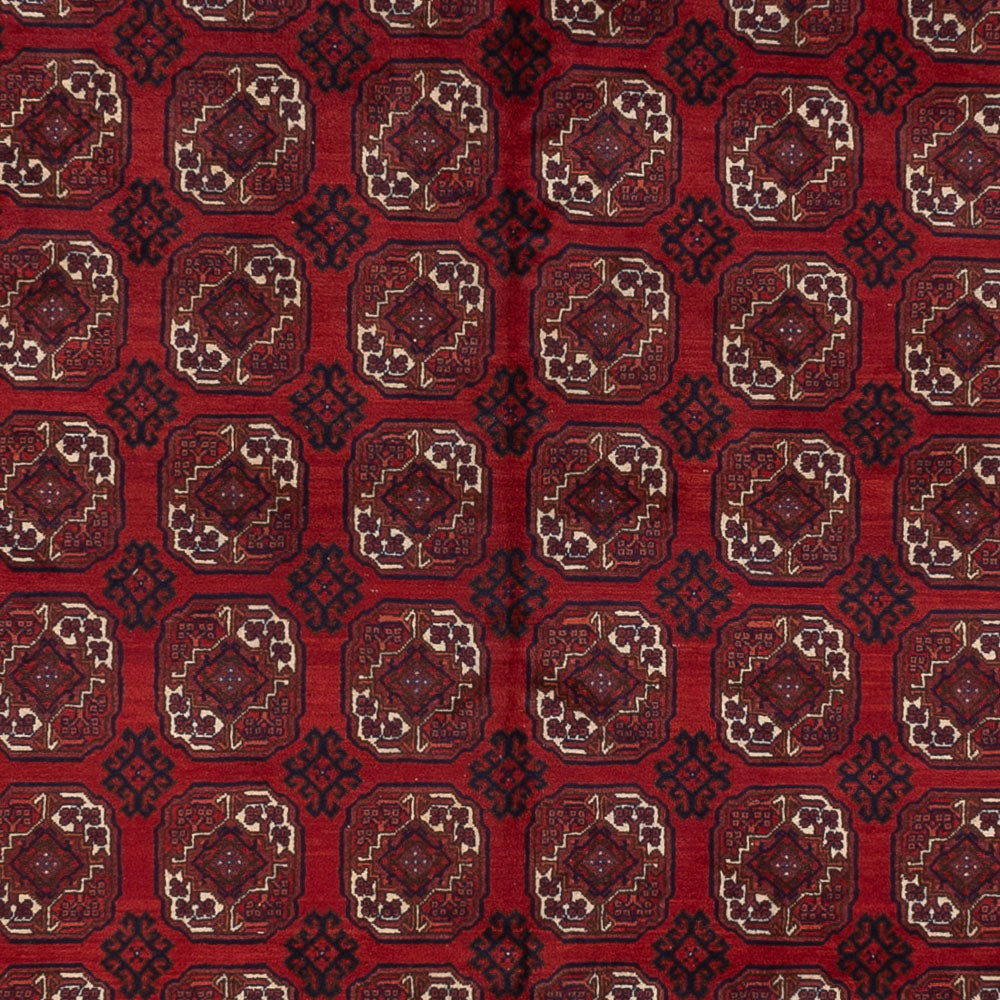 Alfombra afgana - Bukhara - 334 x 252 cm - rojo oscuro