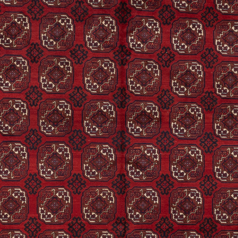 Alfombra afgana - Bukhara - 334 x 252 cm - rojo oscuro