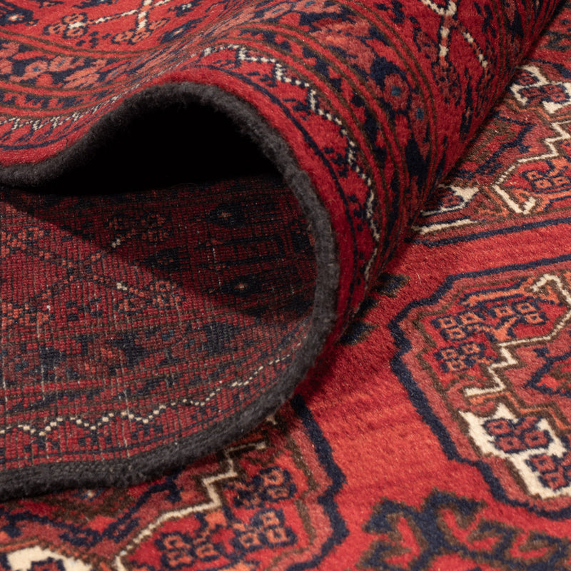 Alfombra afgana - Bukhara - 334 x 252 cm - rojo oscuro