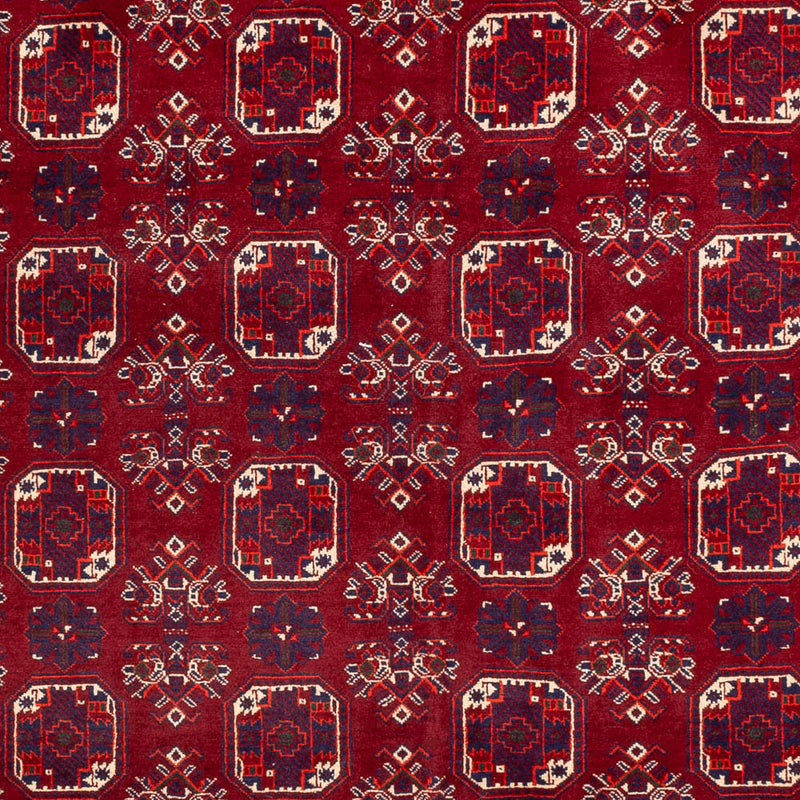 Alfombra afgana - Bukhara - 288 x 197 cm - rojo