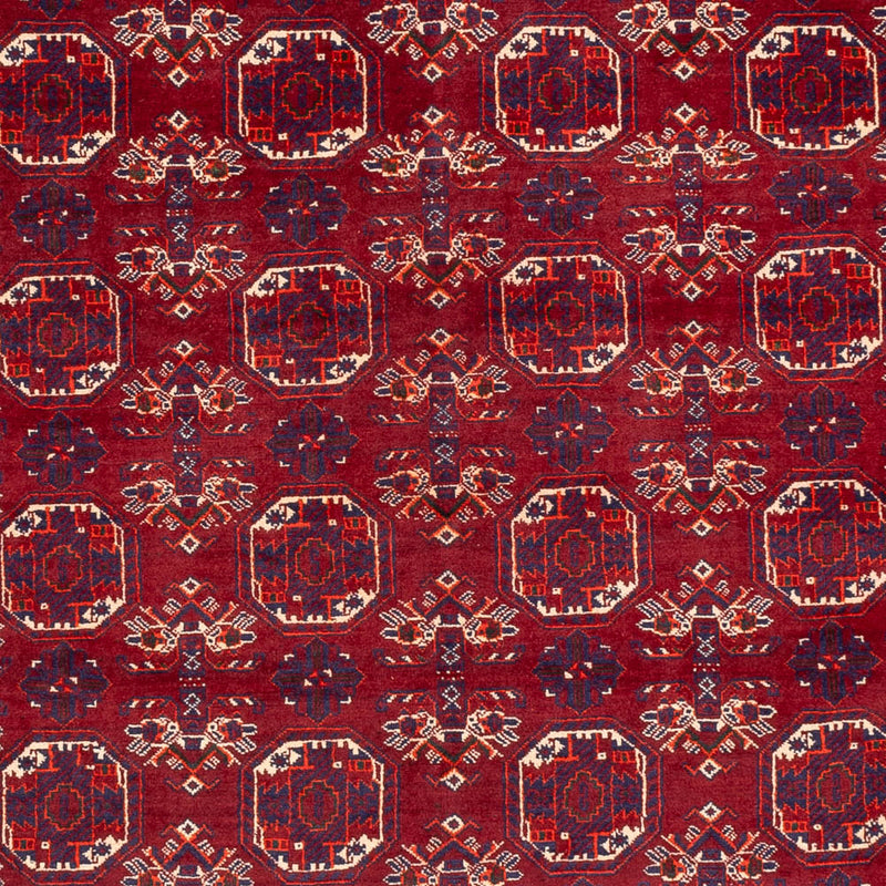 Alfombra afgana - Bukhara - 283 x 198 cm - gris oscuro
