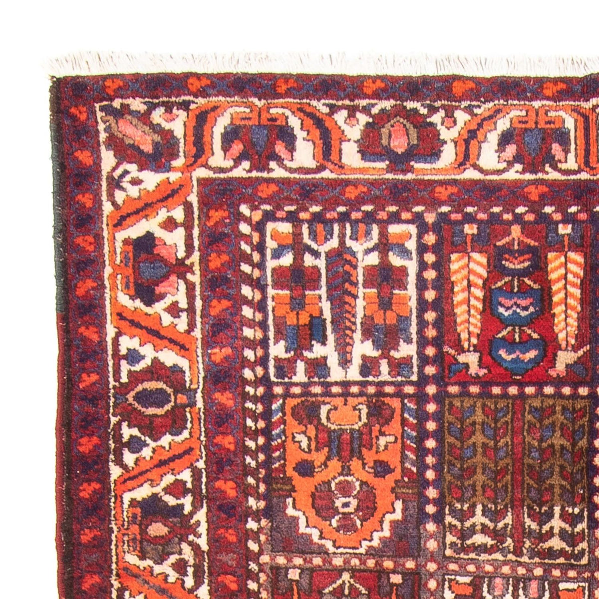 Bakhtiari Alfombra 158x290cm - Alfombra persa