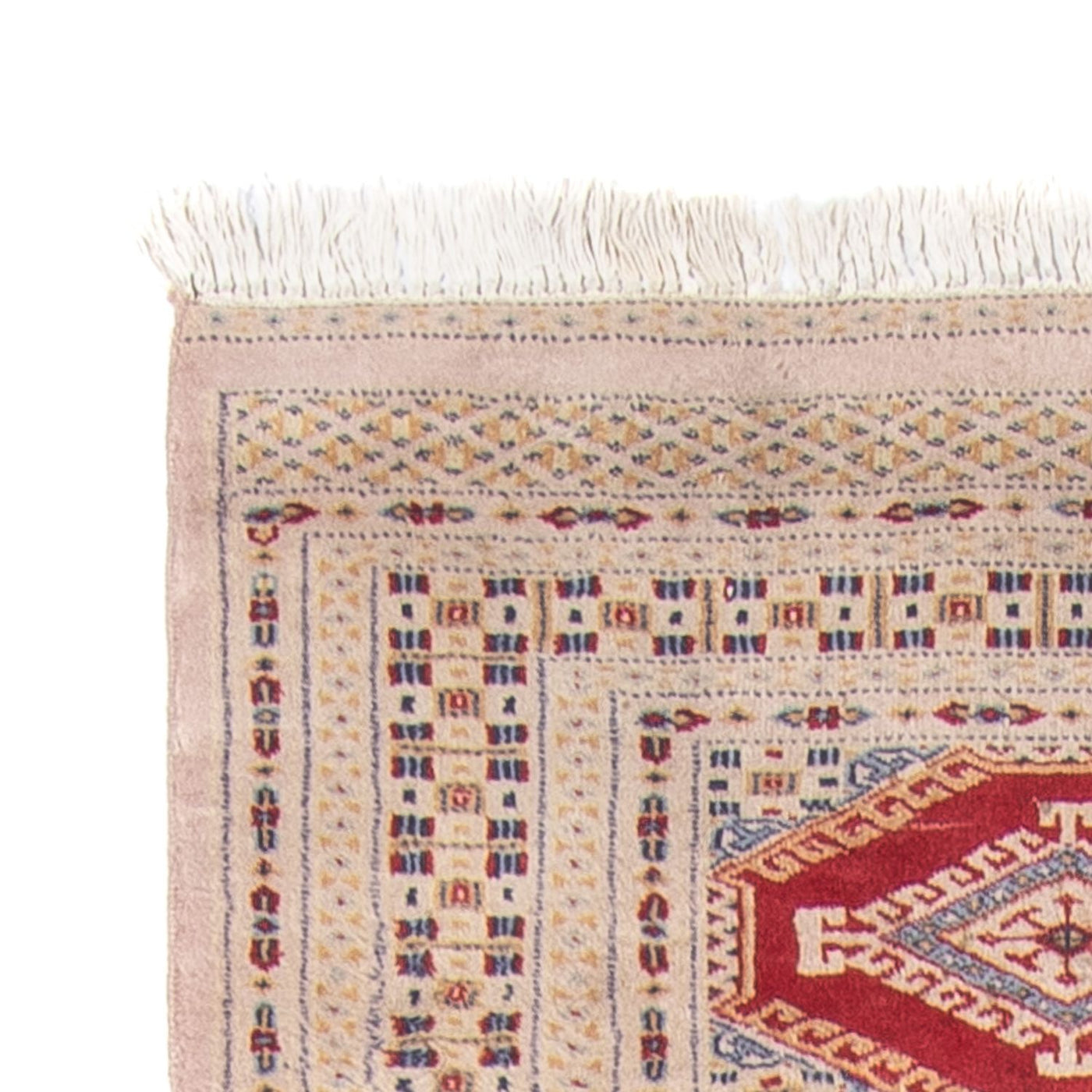 Alfombra Pakistani 315x90cm - Alfombra oriental