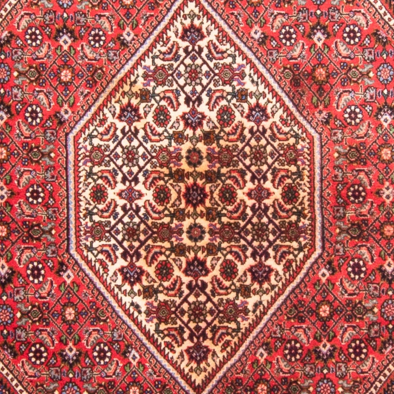 Alfombra persa - Bidjar - 170 x 114 cm - rojo