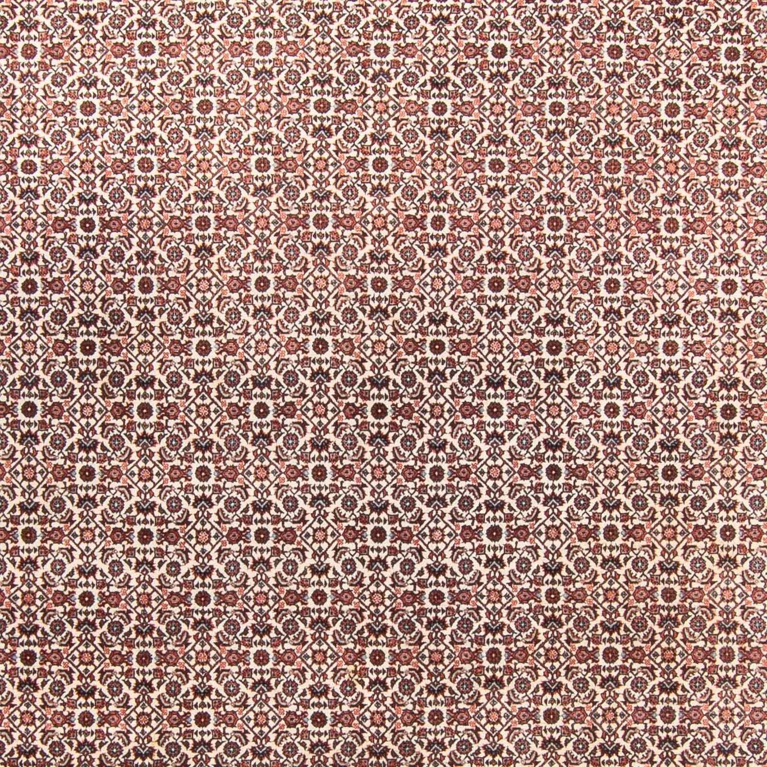 Alfombra persa - Bidjar - 340 x 250 cm - beige