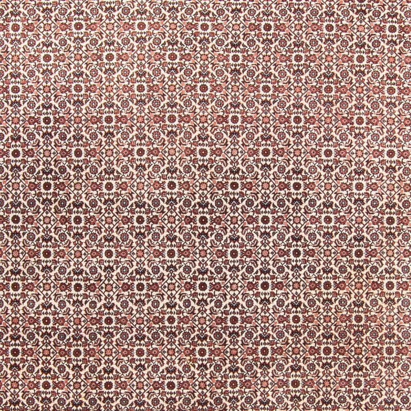 Alfombra persa - Bidjar - 340 x 250 cm - beige