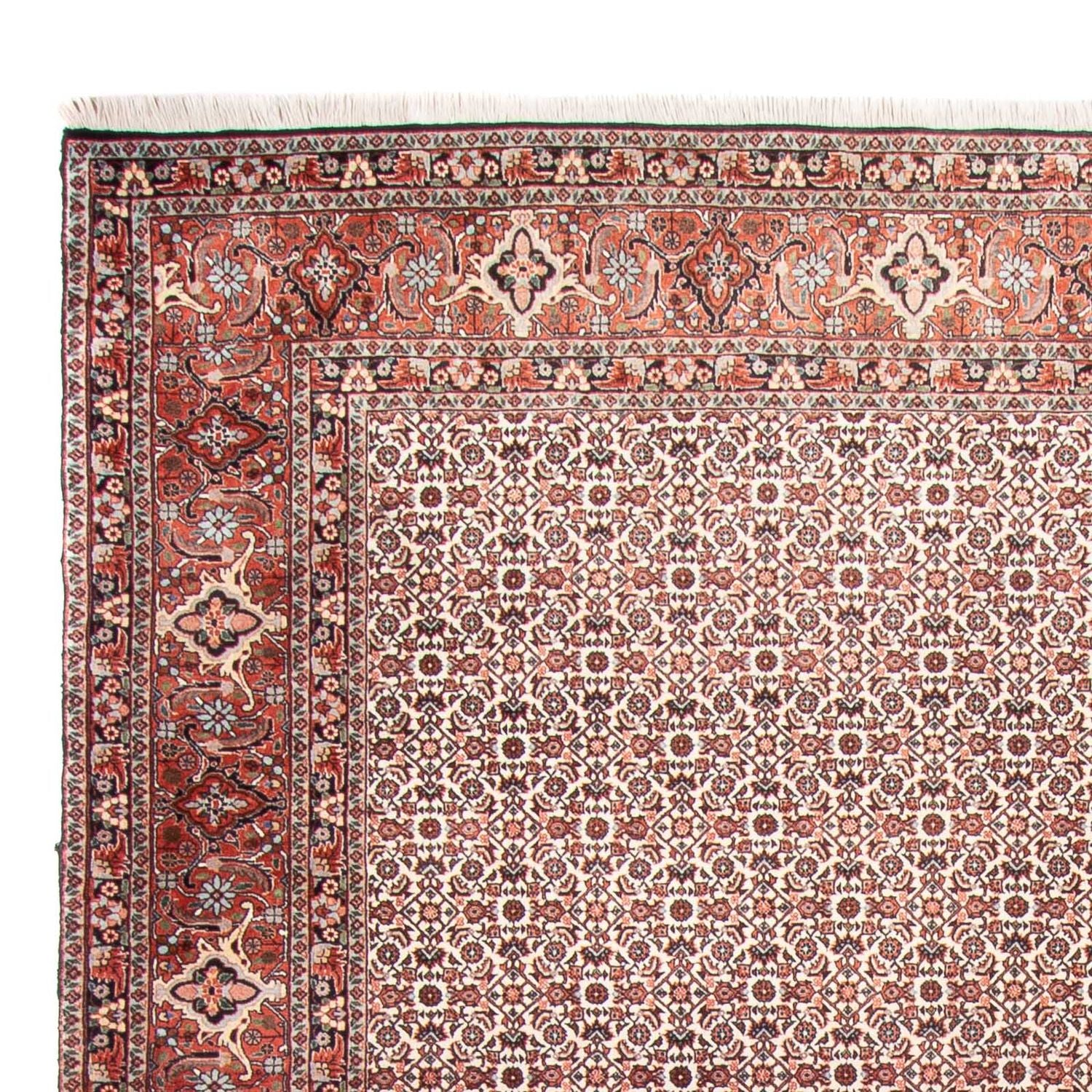Alfombra persa - Bidjar - 340 x 250 cm - beige