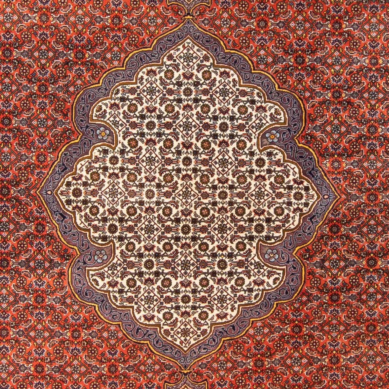 Alfombra persa - Bidjar - 312 x 205 cm - naranja