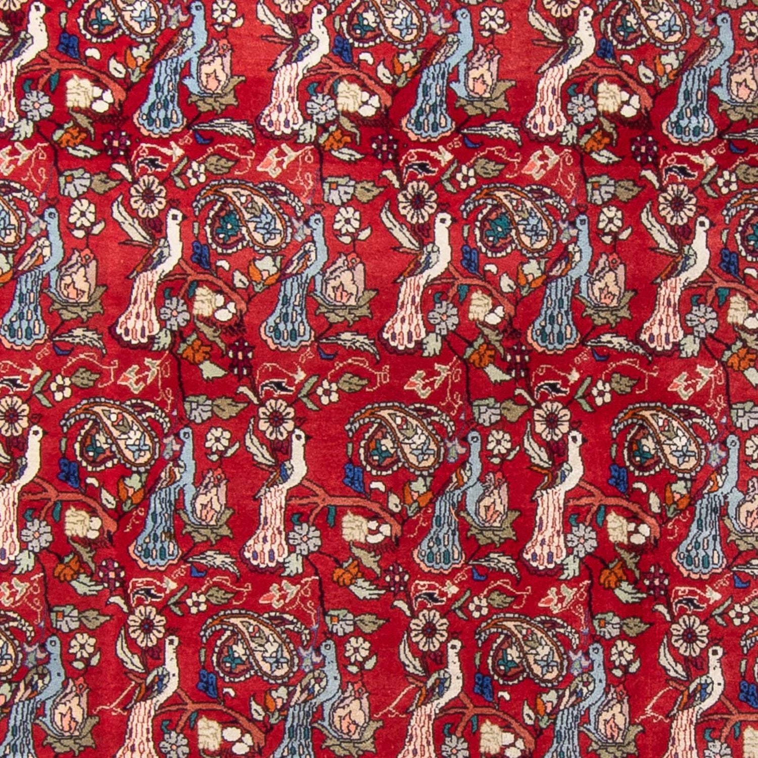 Alfombra persa - Bidjar - 280 x 180 cm - rojo