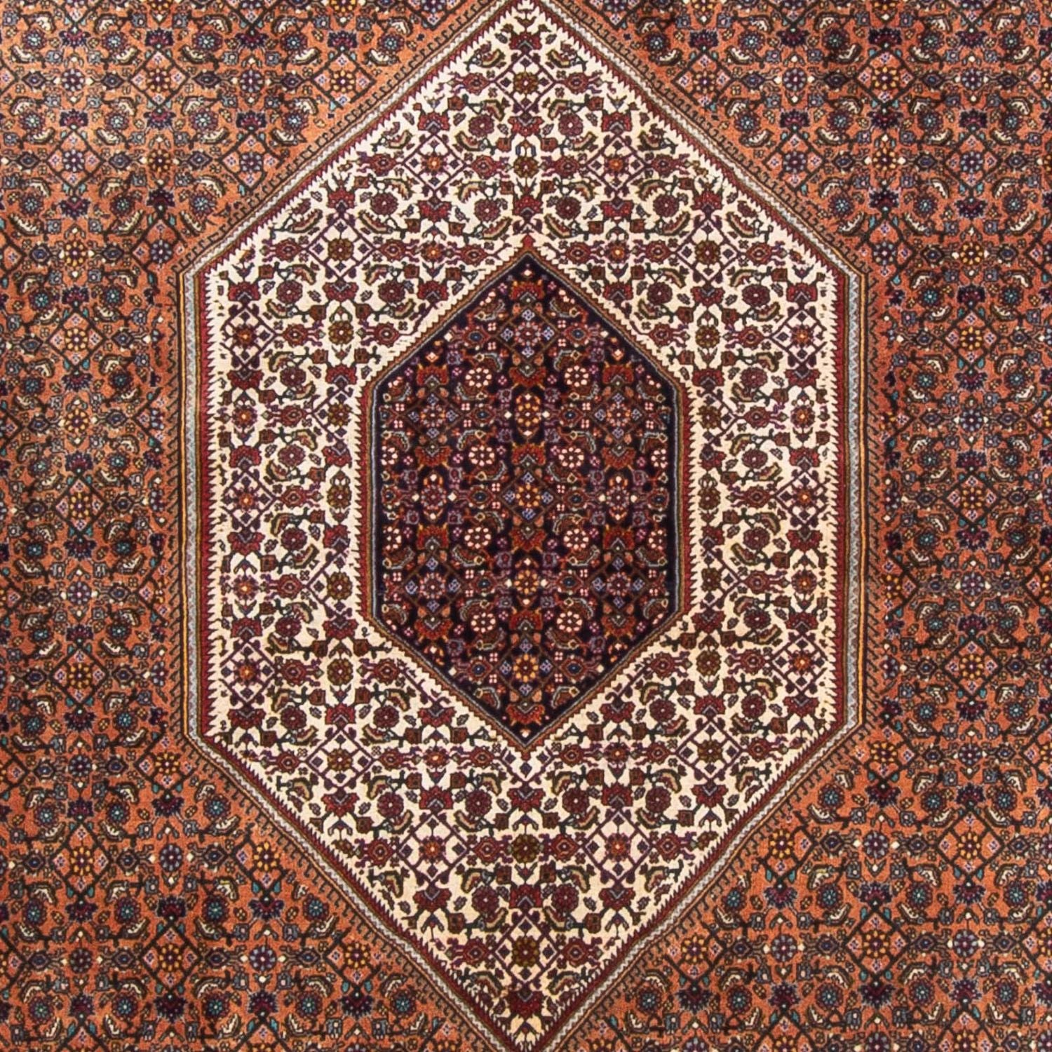 Alfombra persa - Bidjar - 305 x 210 cm - marrón