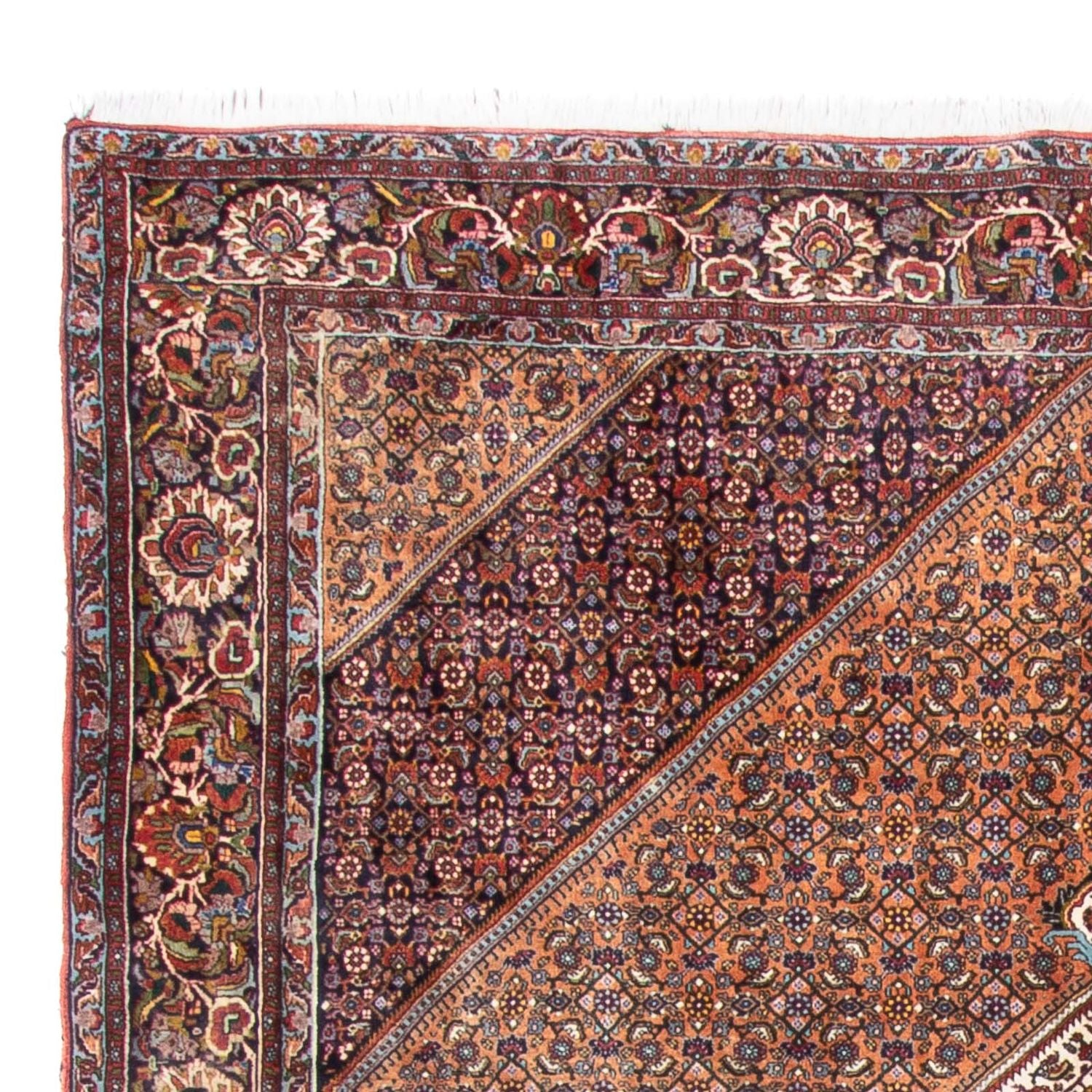 Alfombra persa - Bidjar - 305 x 210 cm - marrón