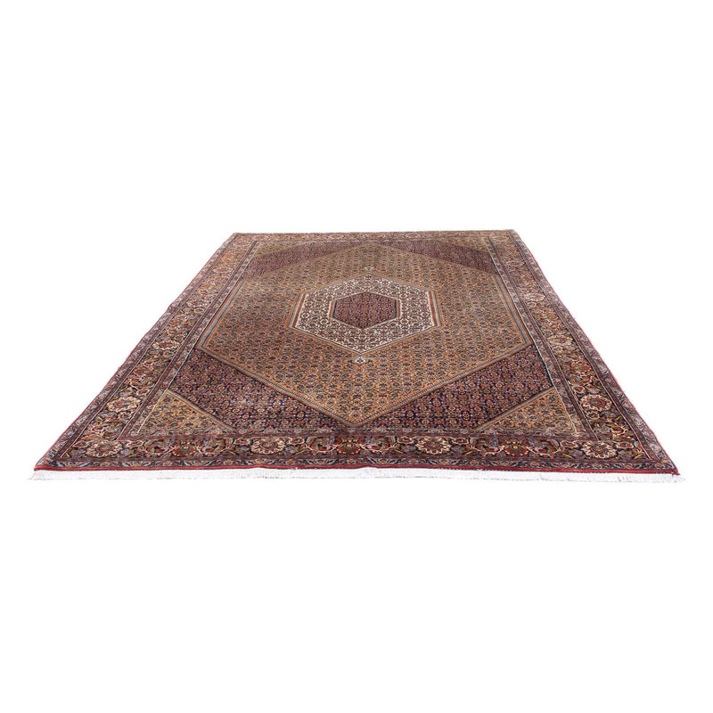 Alfombra persa - Bidjar - 305 x 210 cm - marrón